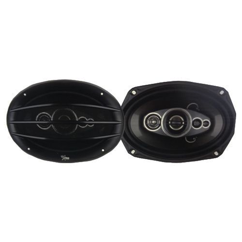 Digital Star Sound SSS-6953 Car speaker